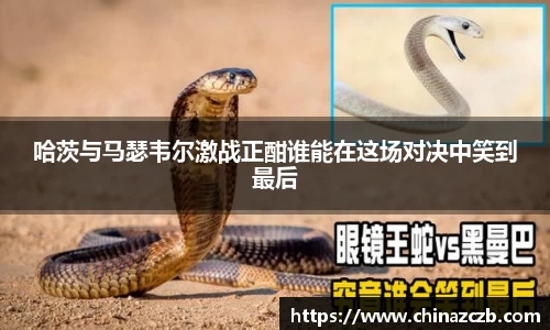 米兰体育官方网站